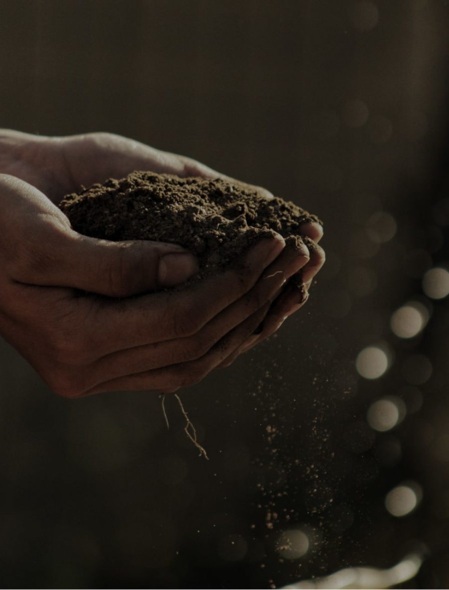organic-min